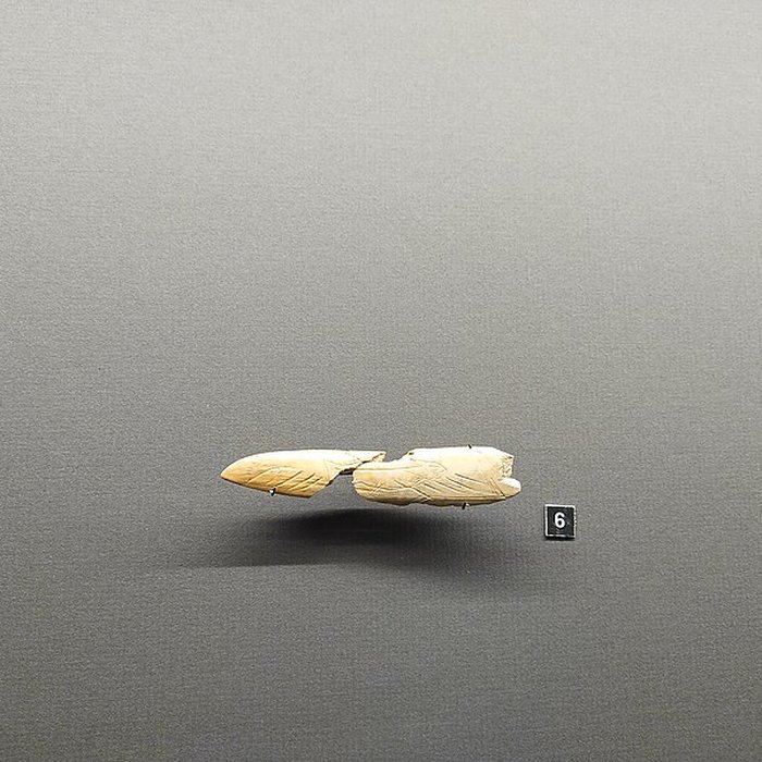 Photo de Grotte de Bourrouilla