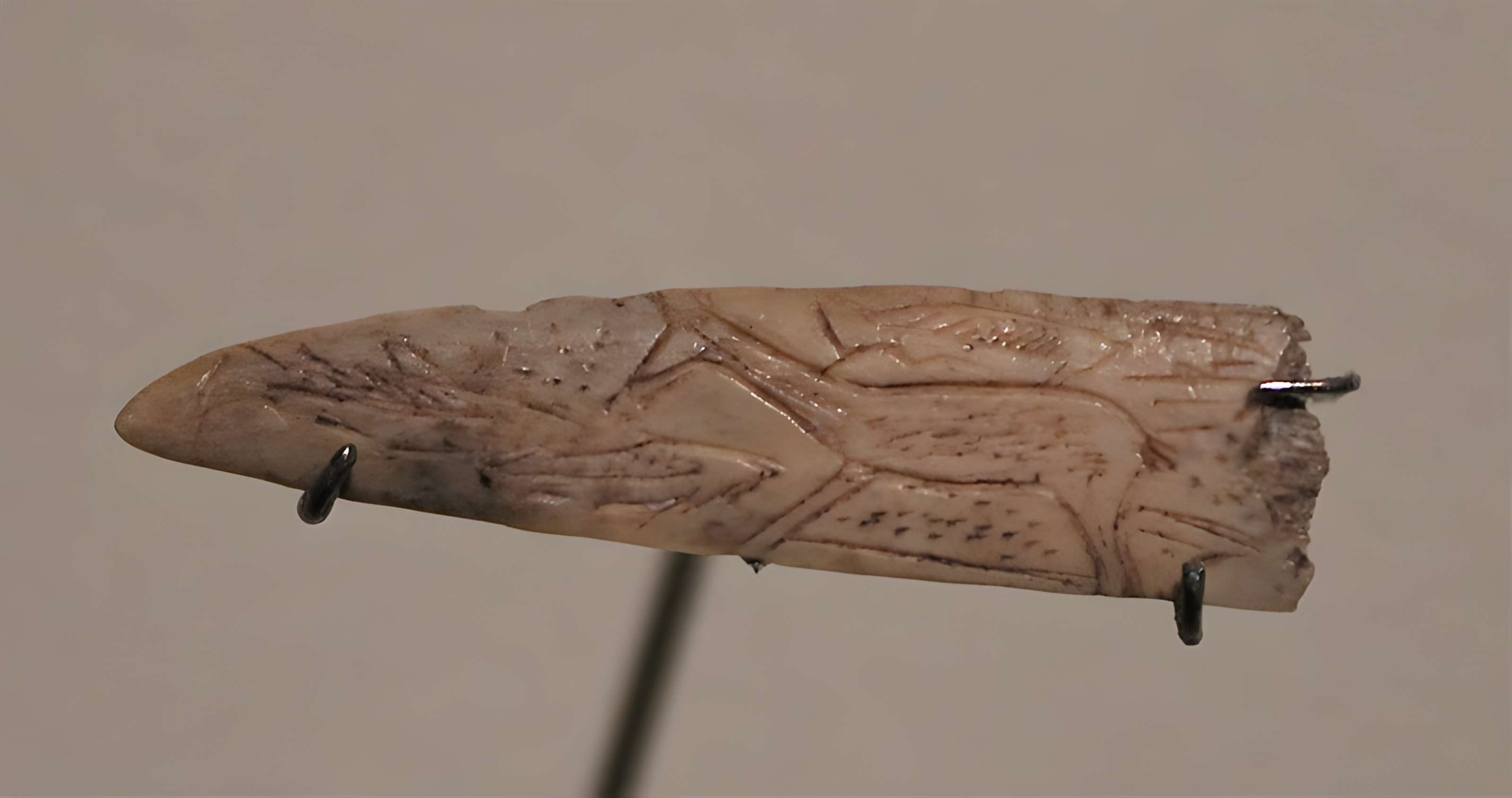 Grotte de Bourrouilla