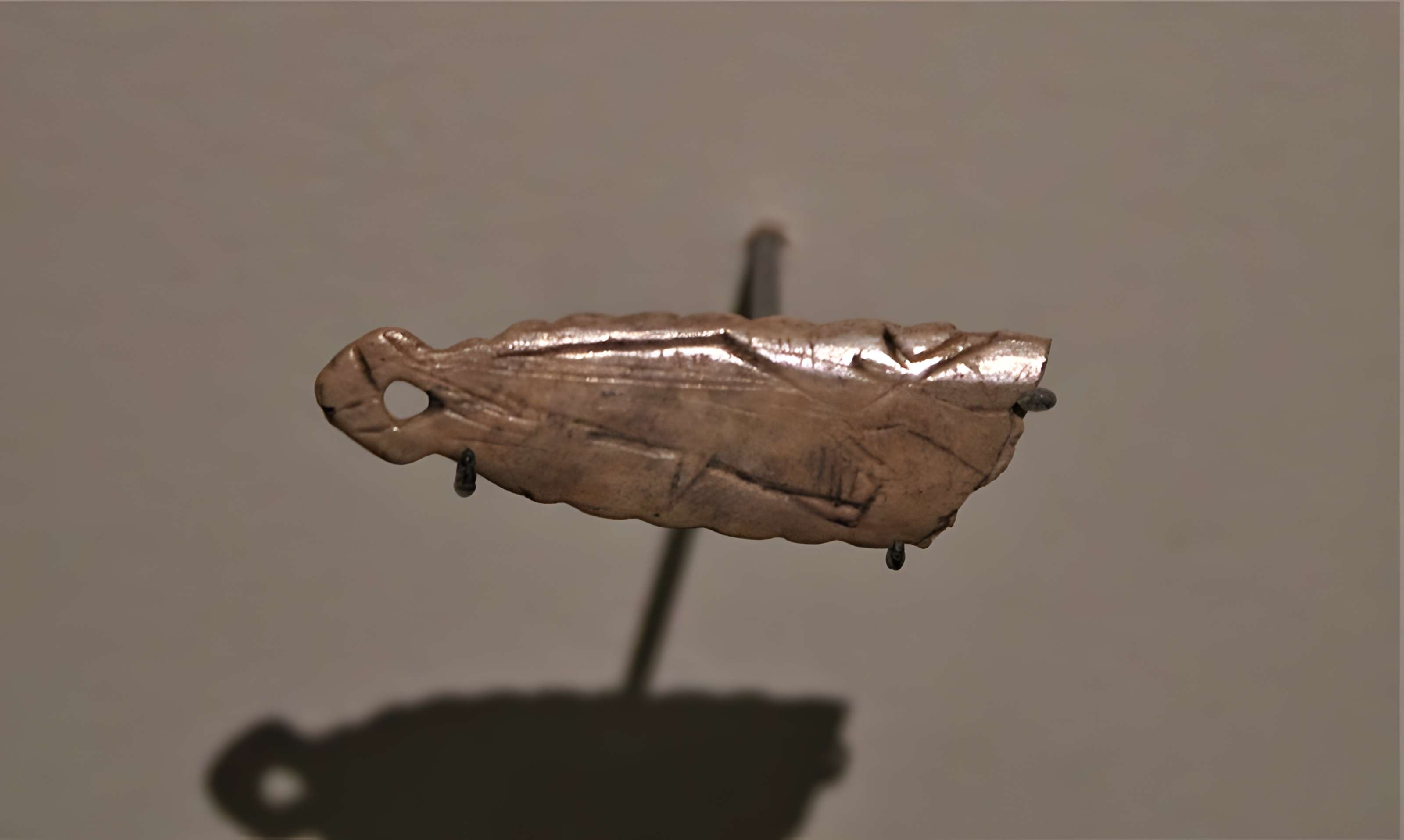 Grotte de Bourrouilla