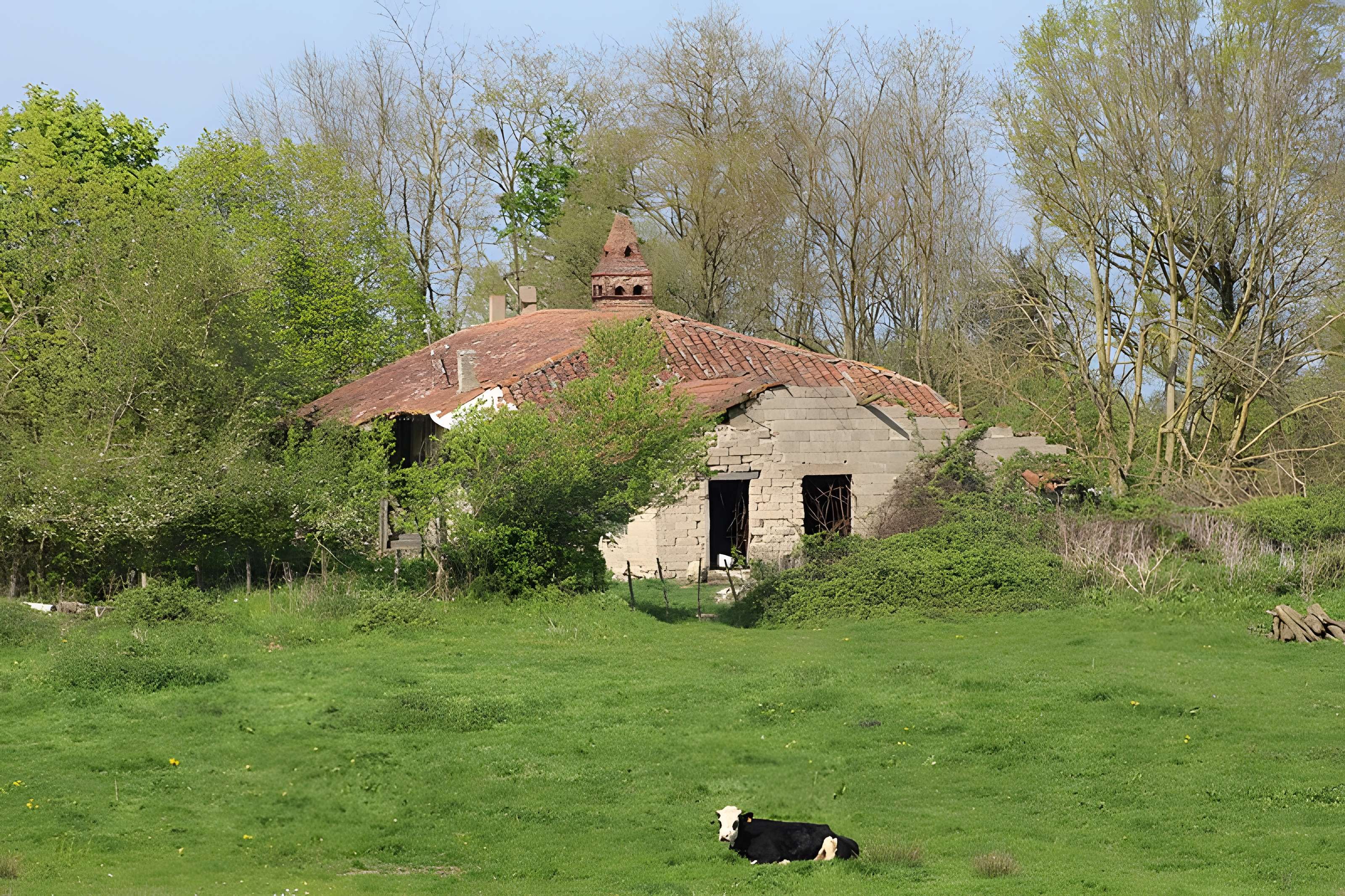 Ferme des Chanées à Romenay