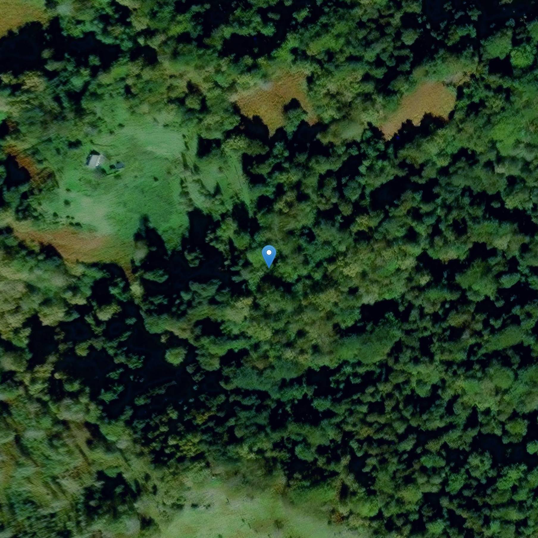 Photo de La cueva prehistórica llamada Gandon-Lassus Shelter