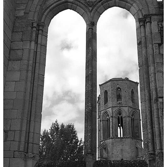 Photo de Abbaye de La Sauve-Majeure