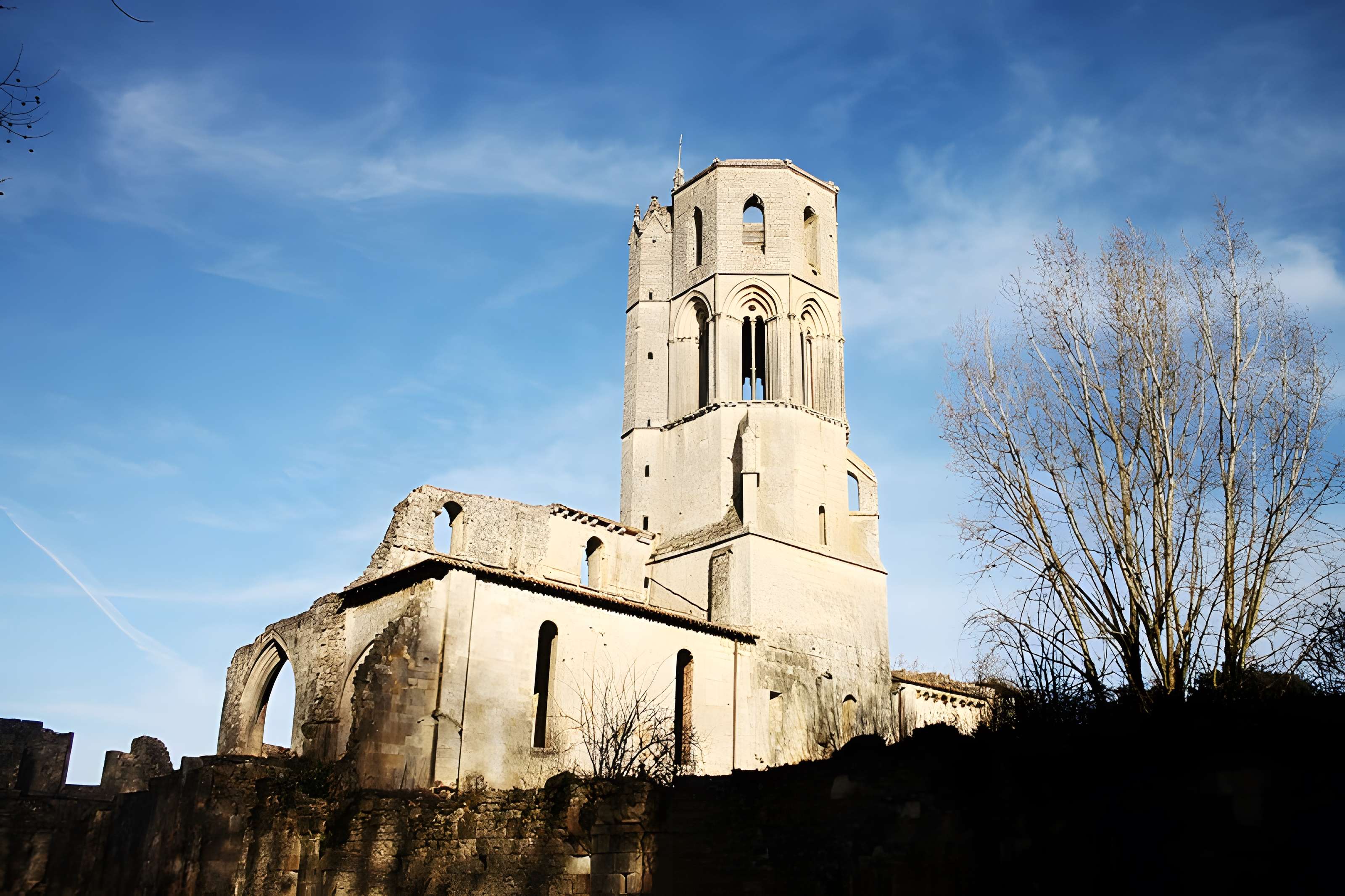 Abbaye de La Sauve-Majeure
