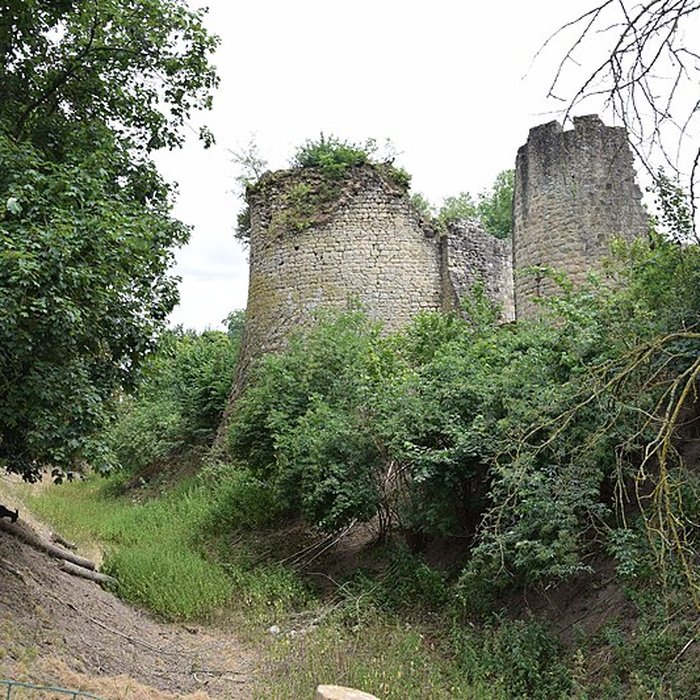 Photo de Château de Bressuire