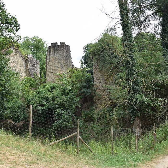 Photo de Château de Bressuire
