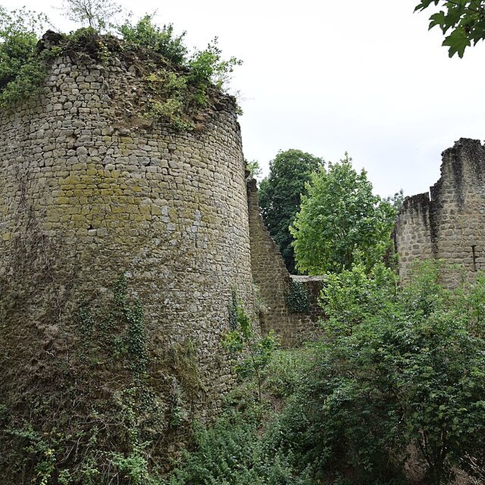 Photo de Château de Bressuire