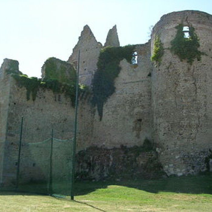 Photo de Château de Bressuire