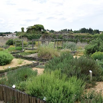Château de Bressuire