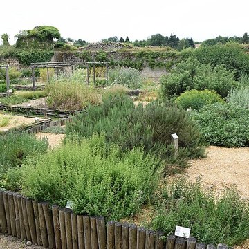 Château de Bressuire