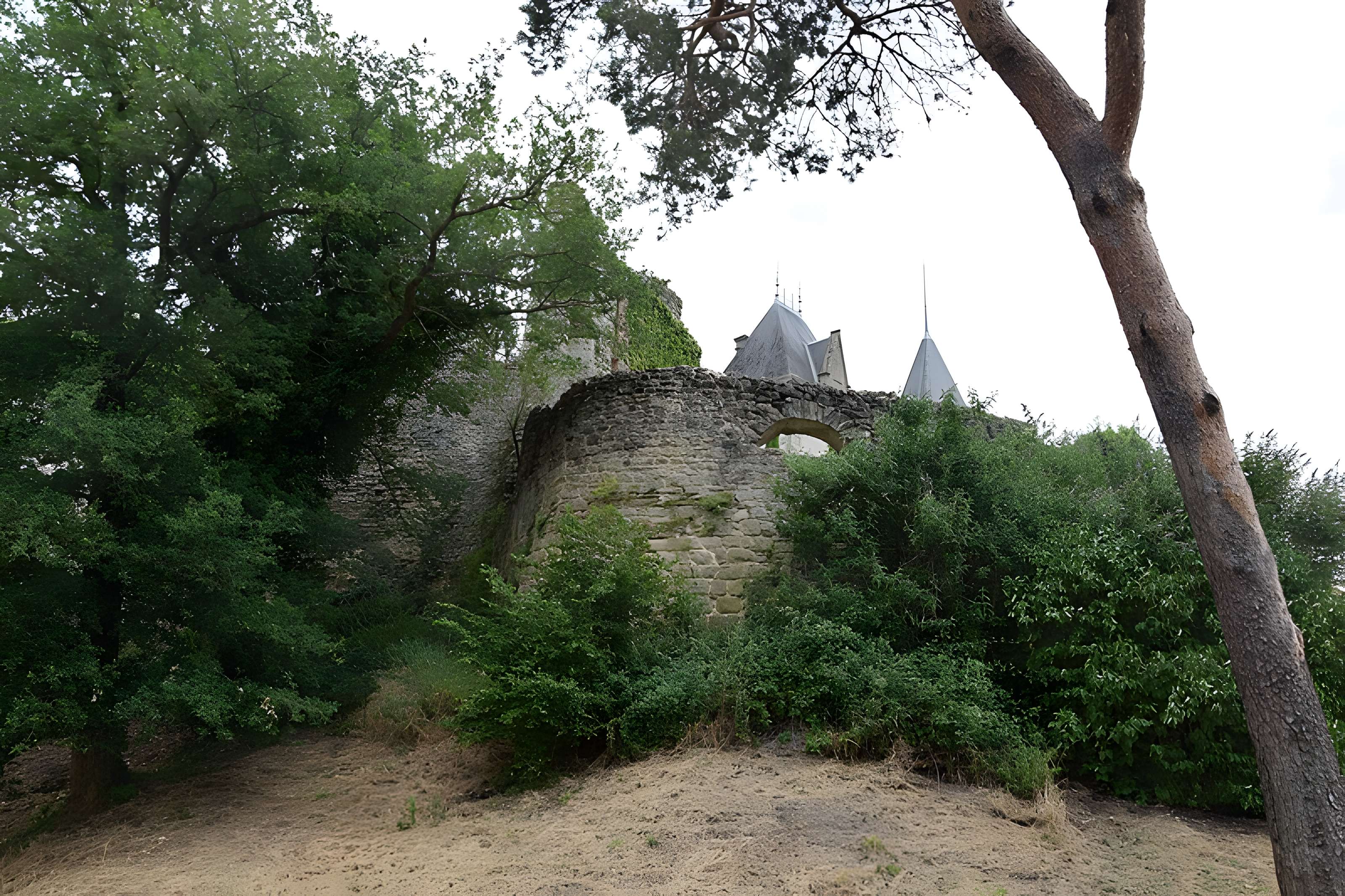 Château de Bressuire
