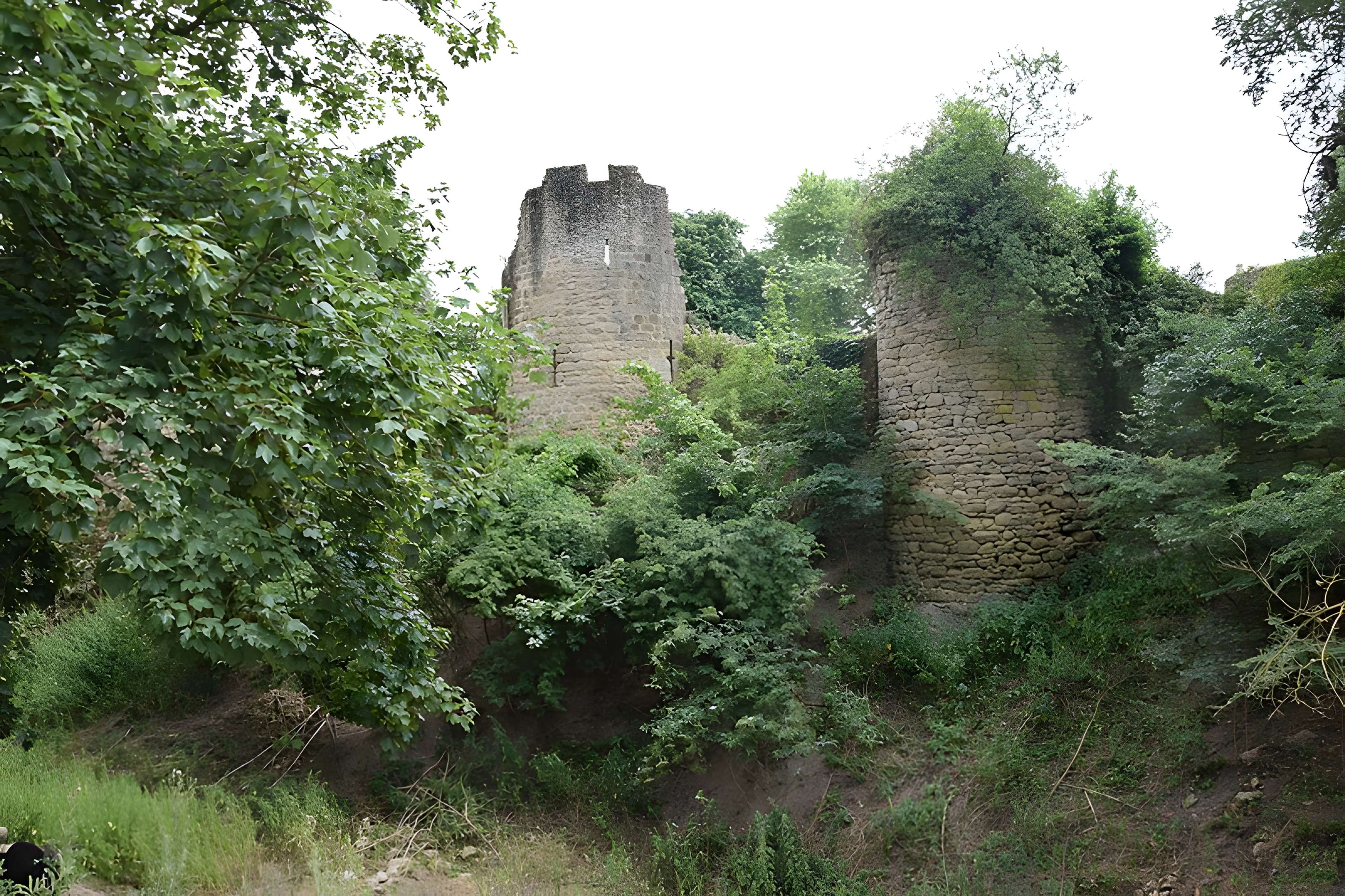 Château de Bressuire