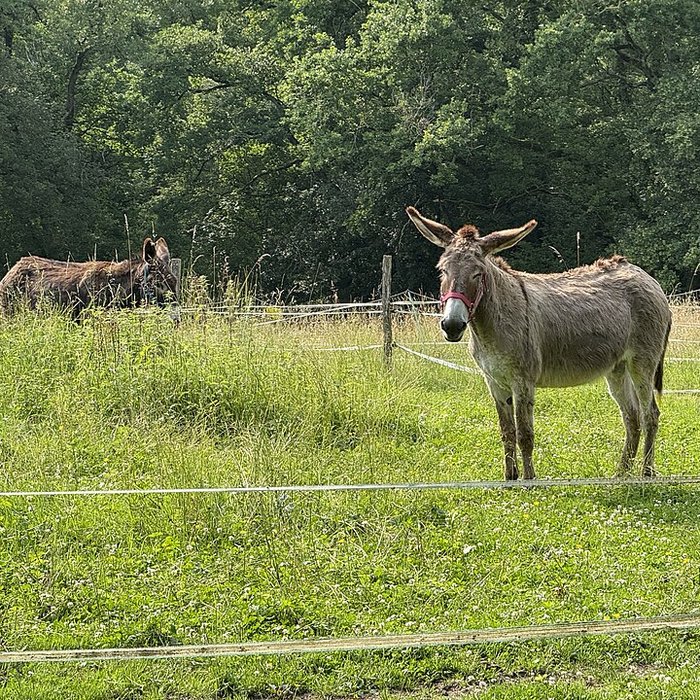 Photo de Ferme du Sougey à Montrevel-en-Bresse