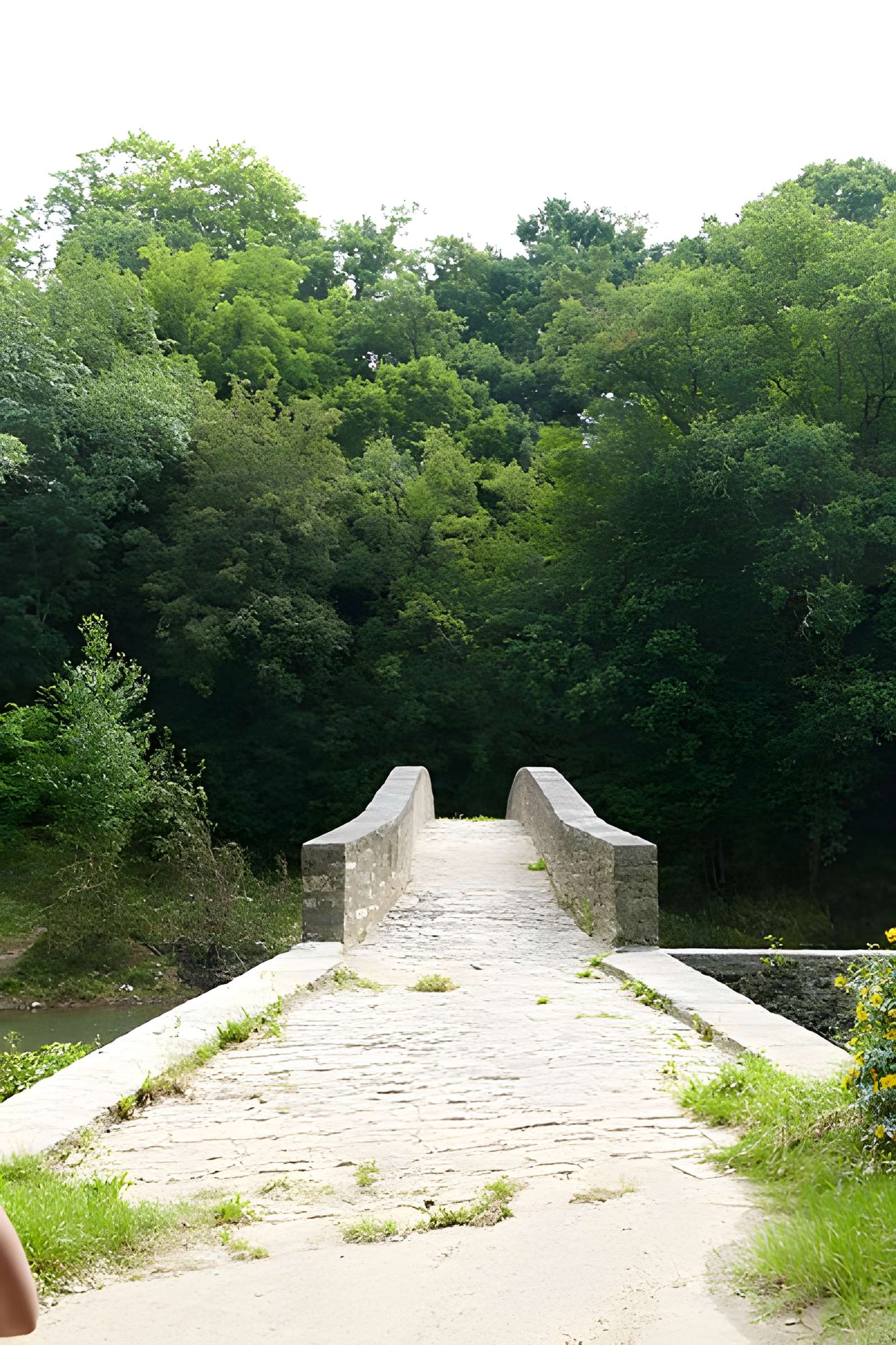 Pont ancien et Moulin de Heugas situés sur le Lihoury
