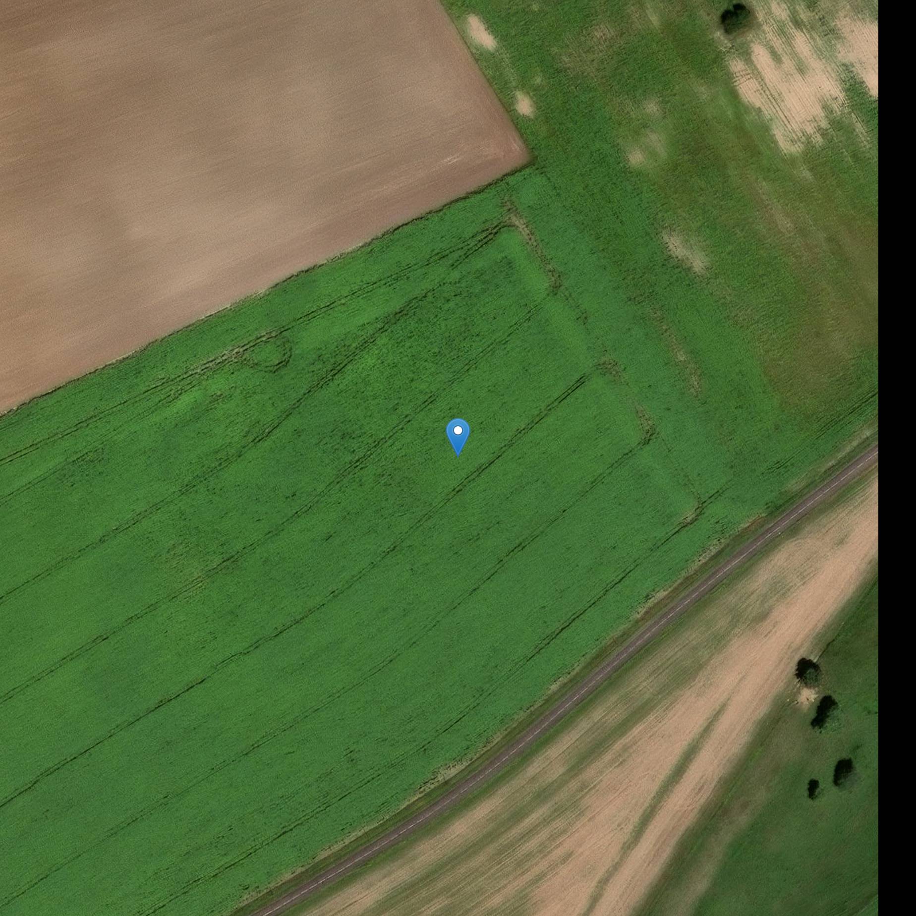 Photo de Azienda agricola fortificata Stalante