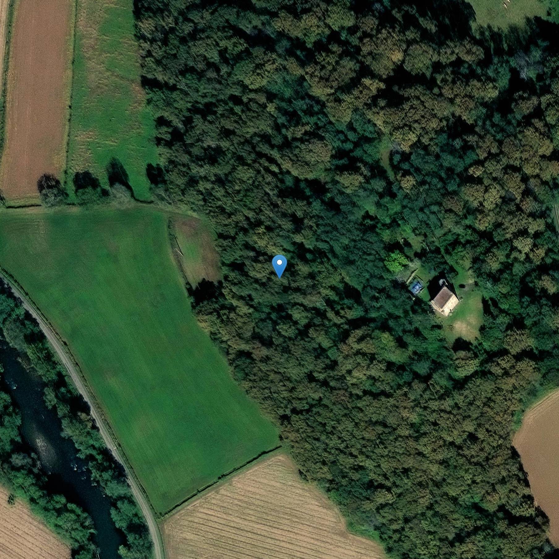 Photo de Castello di Mongaston