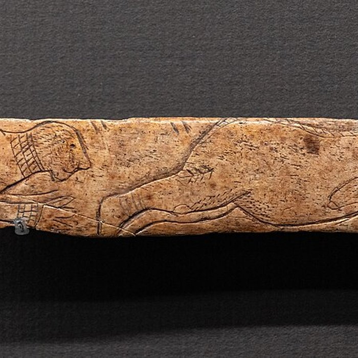 Photo de Site archéologique des grottes dIsturits, dOxocelhaya et dErberua également sur commune de Saint-Martin-dArberoue