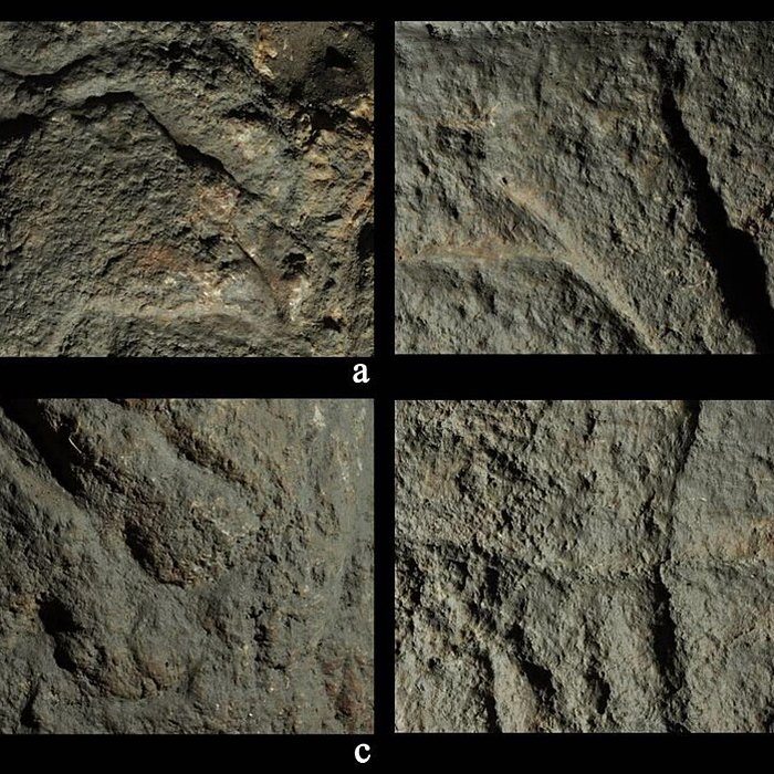 Photo de Site archéologique des grottes dIsturits, dOxocelhaya et dErberua également sur commune de Saint-Martin-dArberoue