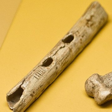 Site archéologique des grottes dIsturits, dOxocelhaya et dErberua également sur commune de Saint-Martin-dArberoue