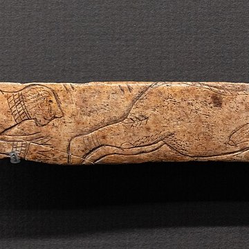 Site archéologique des grottes dIsturits, dOxocelhaya et dErberua également sur commune de Saint-Martin-dArberoue