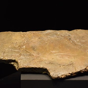 Site archéologique des grottes dIsturits, dOxocelhaya et dErberua également sur commune de Saint-Martin-dArberoue