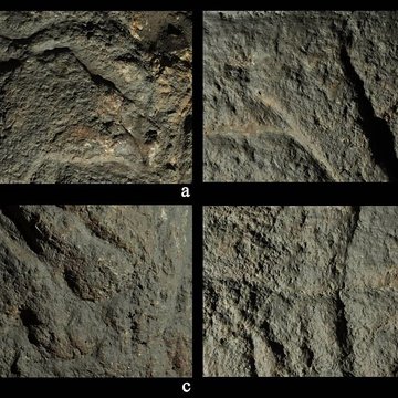 Site archéologique des grottes dIsturits, dOxocelhaya et dErberua également sur commune de Saint-Martin-dArberoue