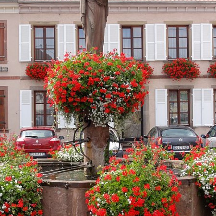 Photo de Fontaine de Châtenois