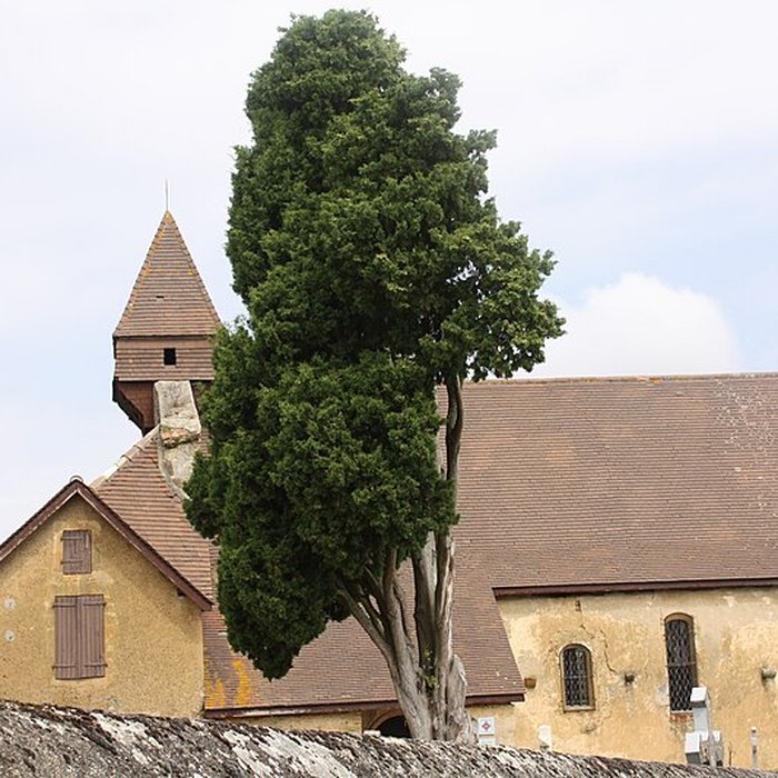 Photo de Eglise Saint-Martin et portail du cimetière