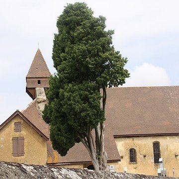 Eglise Saint-Martin et portail du cimetière