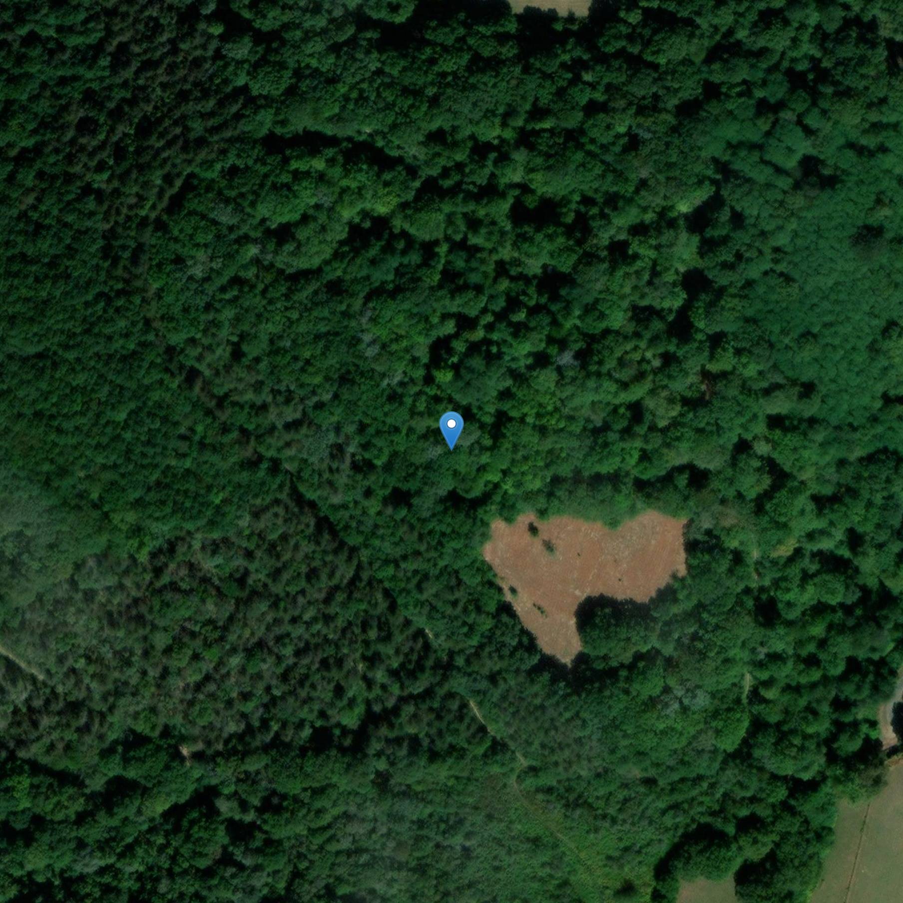 Photo de Château des Seigneurs de Luxe