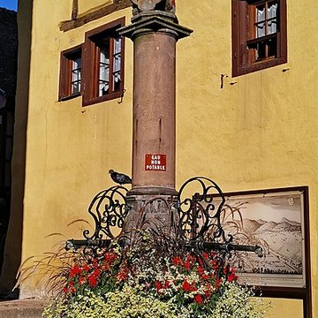 Fontaine de la Sinne à Riquewihr
