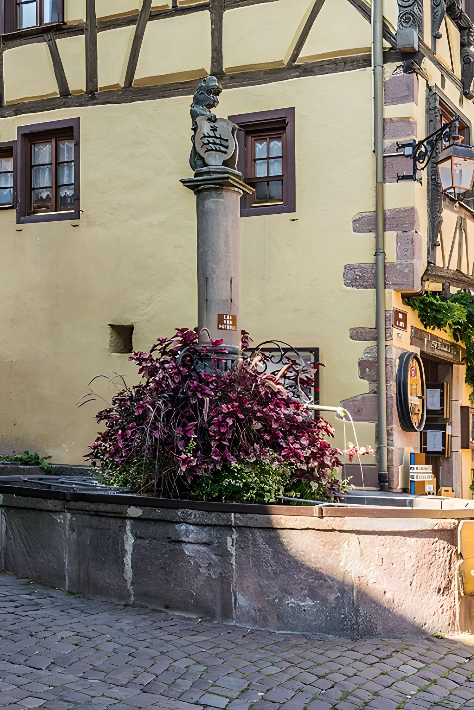 Fontaine de la Sinne à Riquewihr