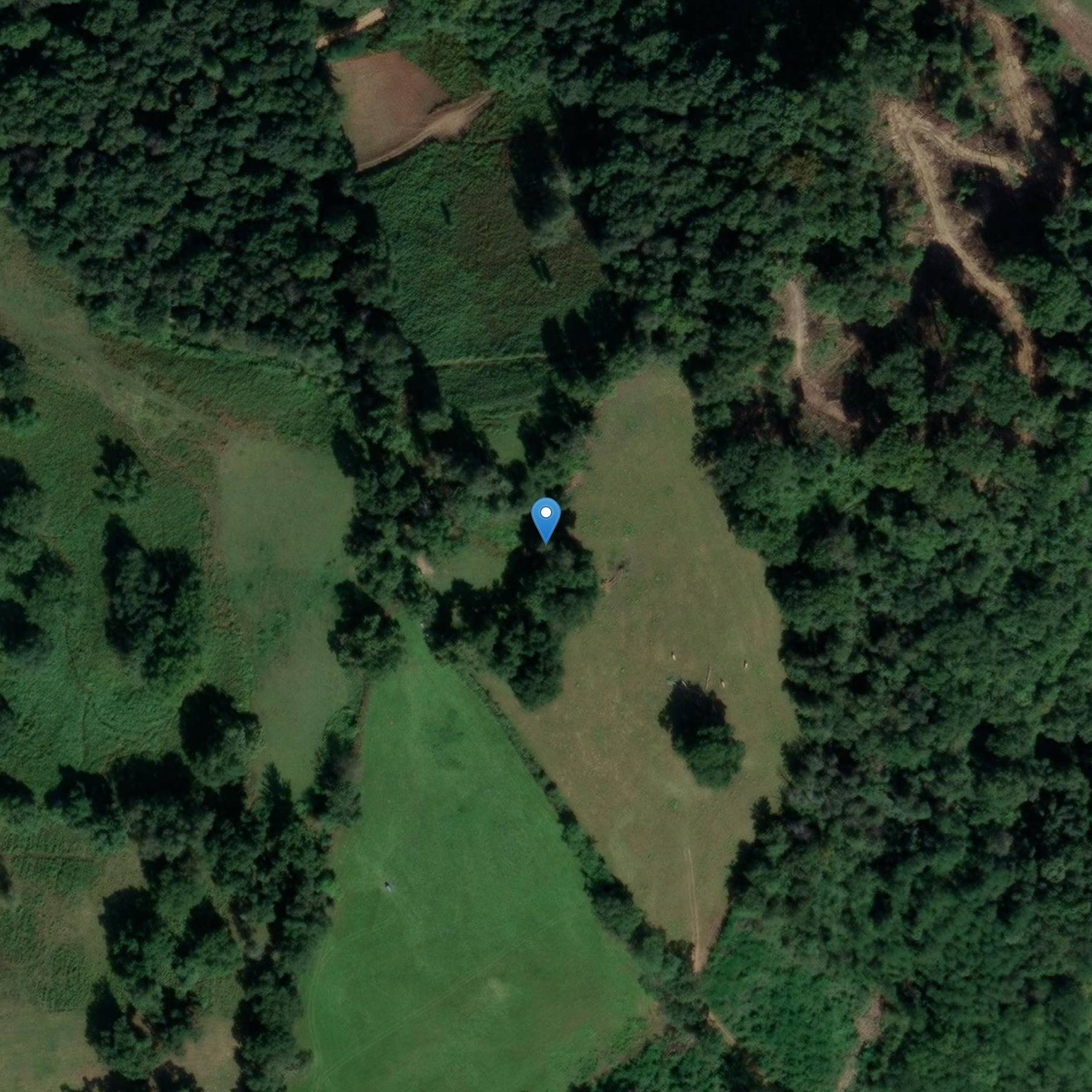 Photo de 贝拉·埃斯邦达的复出