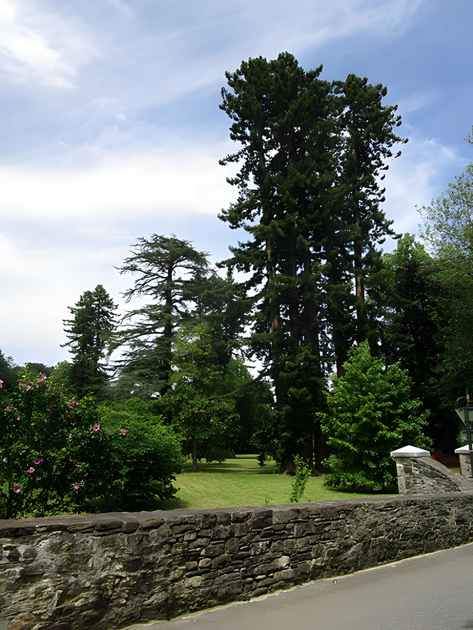 Château d'Uhart-Mixe