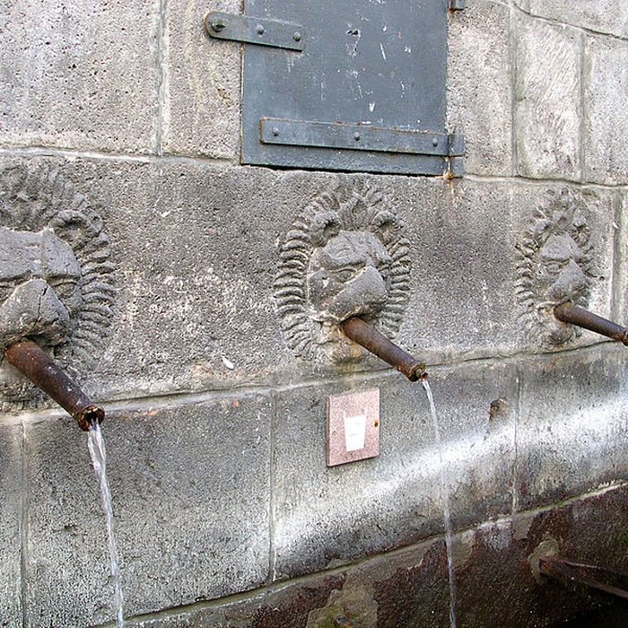 Photo de Fontaine des Lions de Clermont-Ferrand