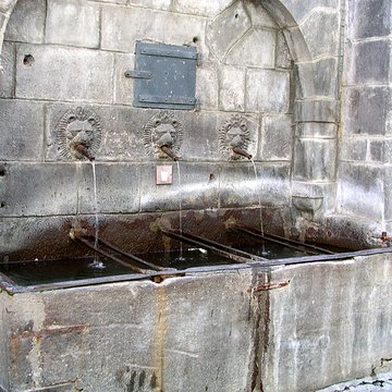 Fontaine des Lions de Clermont-Ferrand