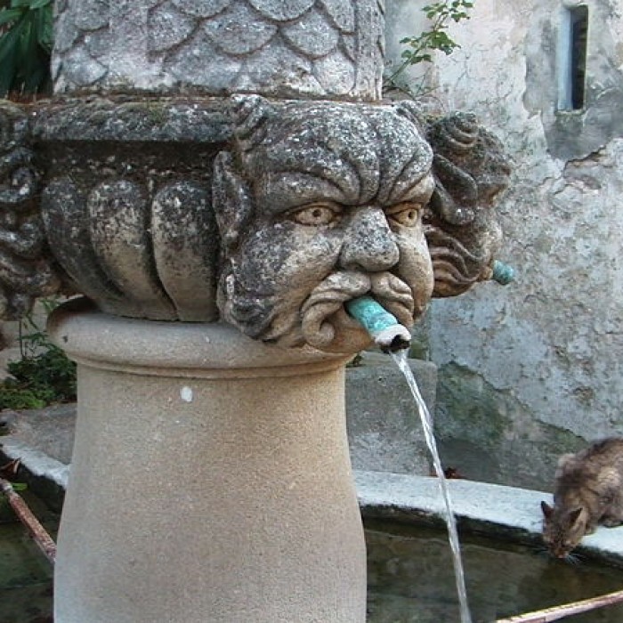 Photo de Fontaine des Mascarons de Séguret