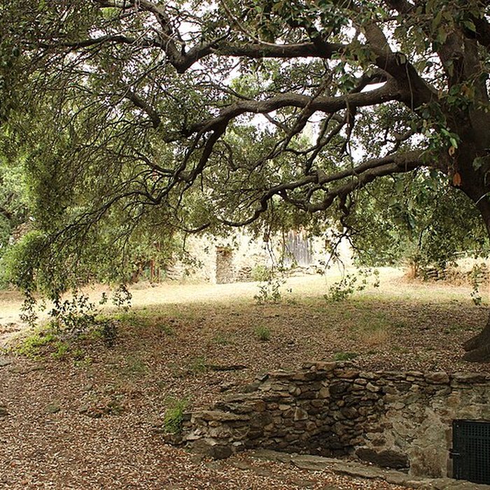 Photo de Eglise Saint-Alexandre-de-la-Pava