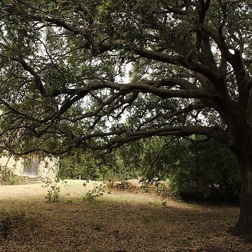 Eglise Saint-Alexandre-de-la-Pava