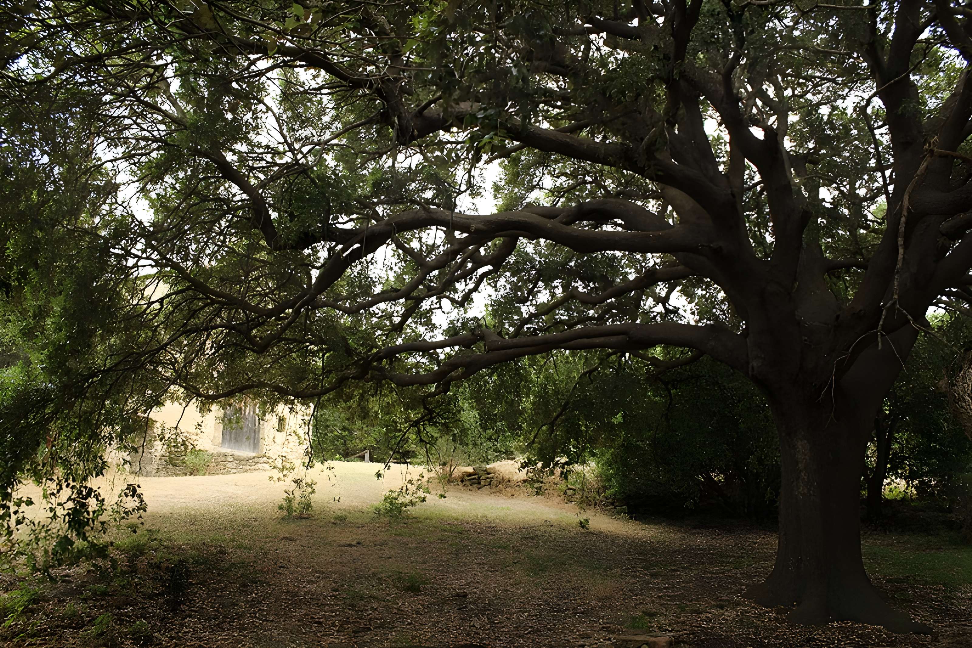 Eglise Saint-Alexandre-de-la-Pava