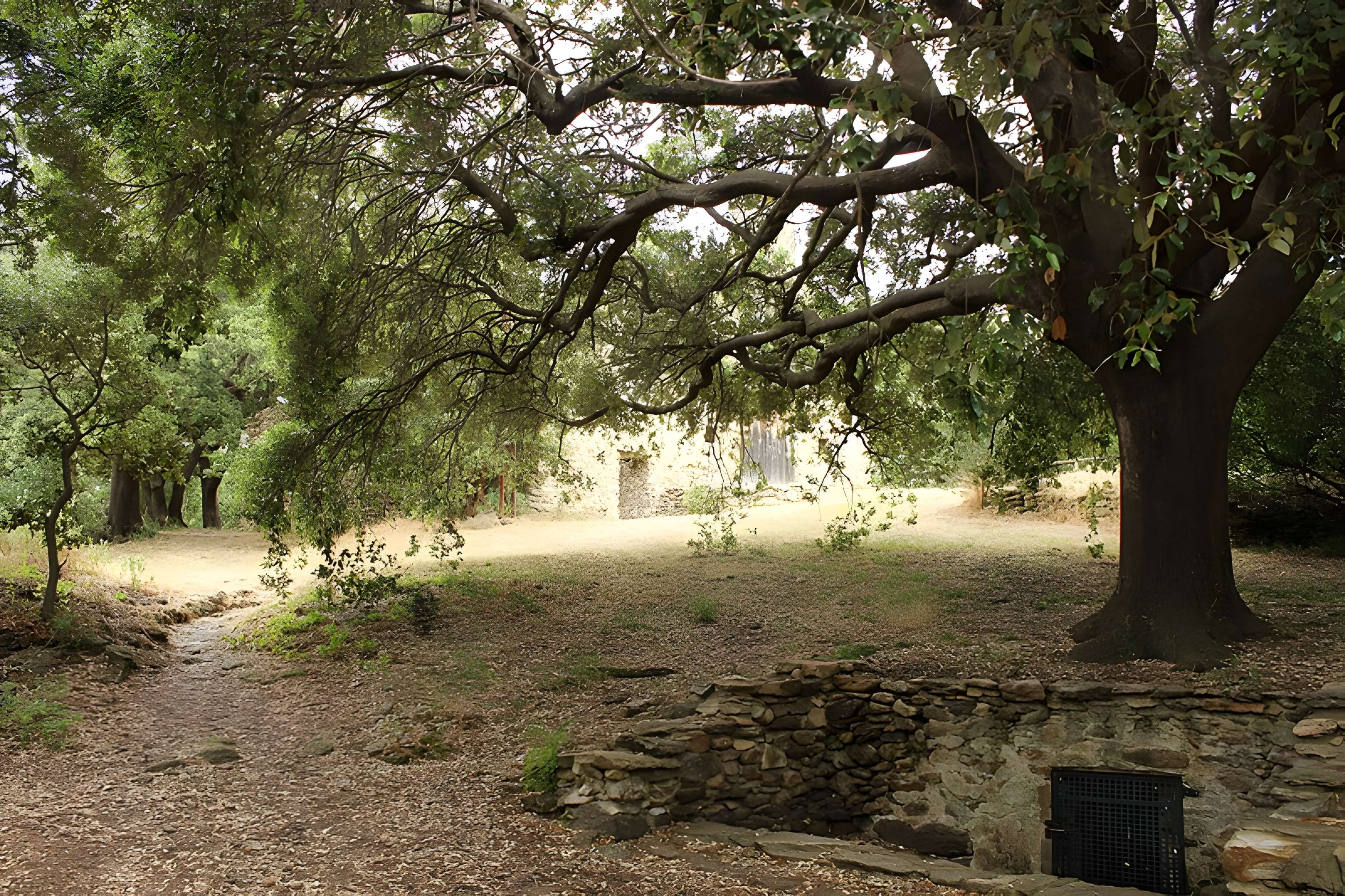Eglise Saint-Alexandre-de-la-Pava