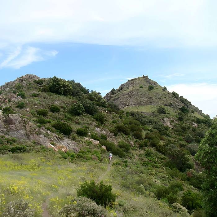 Photo de Château de Querroig