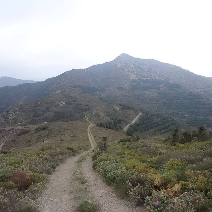 Photo de Château de Querroig
