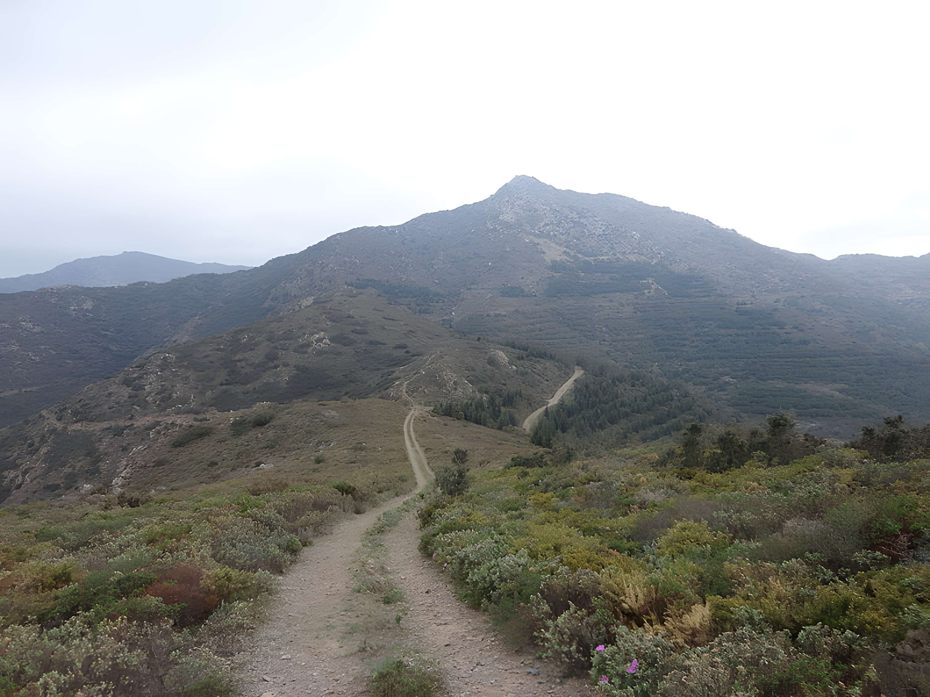 Château de Querroig