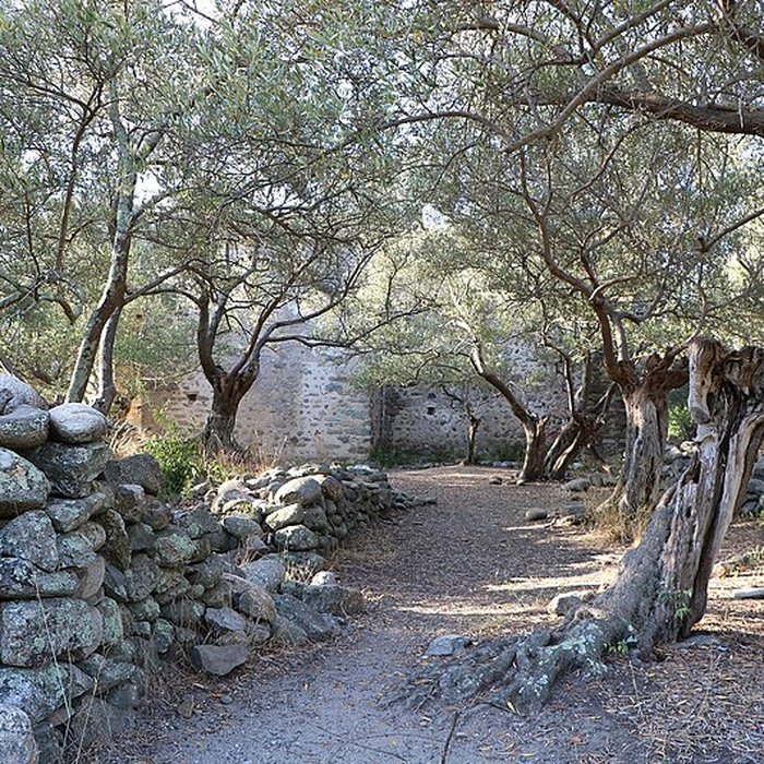Photo de Ancienne chapelle Saint-Sauveur de Casenoves