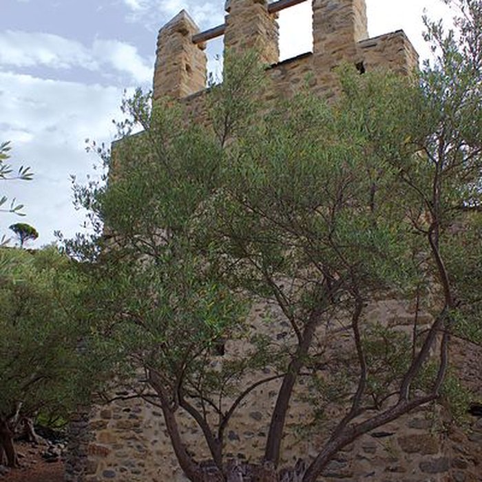 Photo de Ancienne chapelle Saint-Sauveur de Casenoves