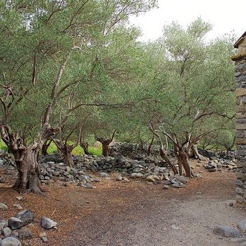 Ancienne chapelle Saint-Sauveur de Casenoves