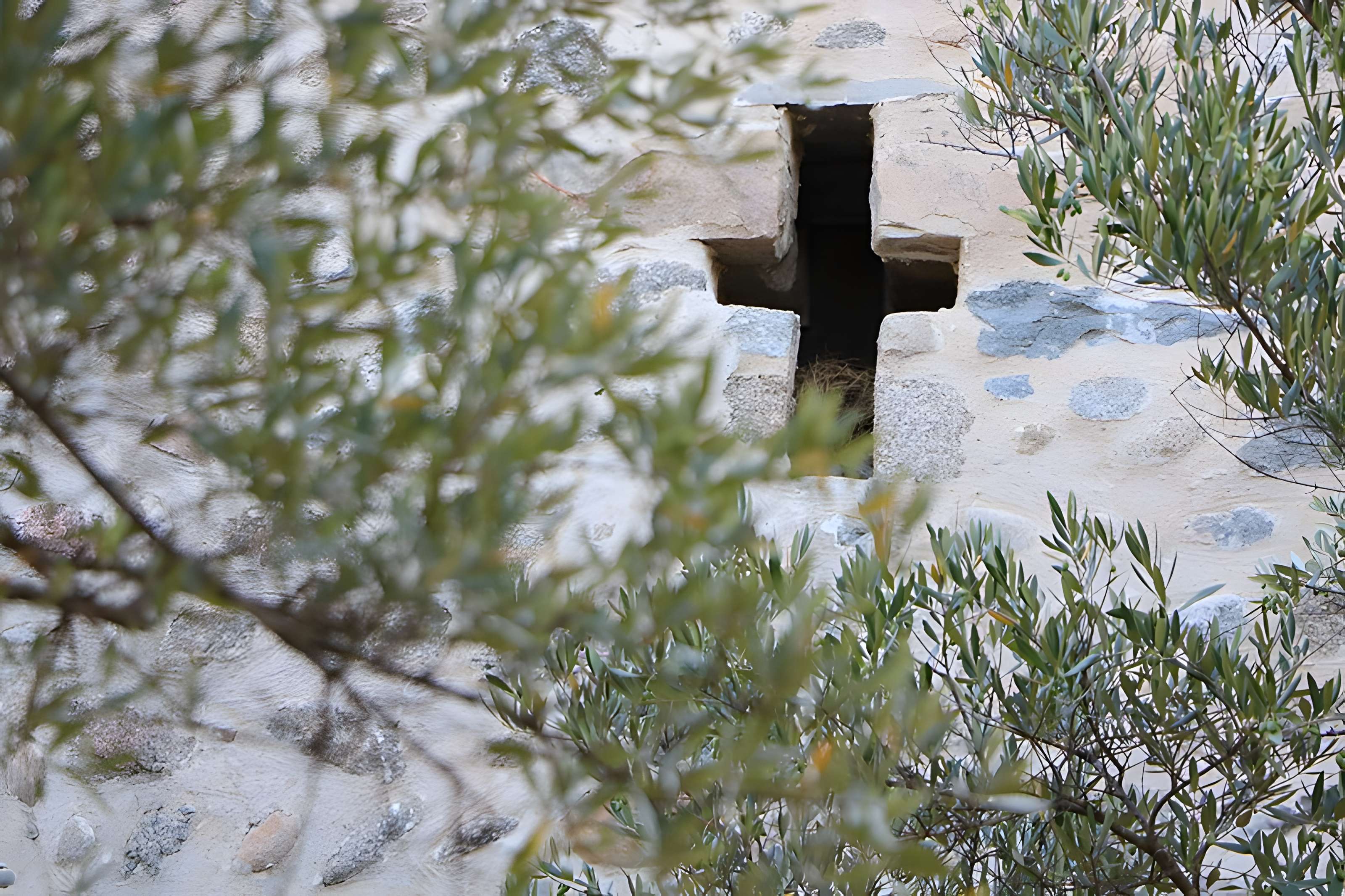 Ancienne chapelle Saint-Sauveur de Casenoves
