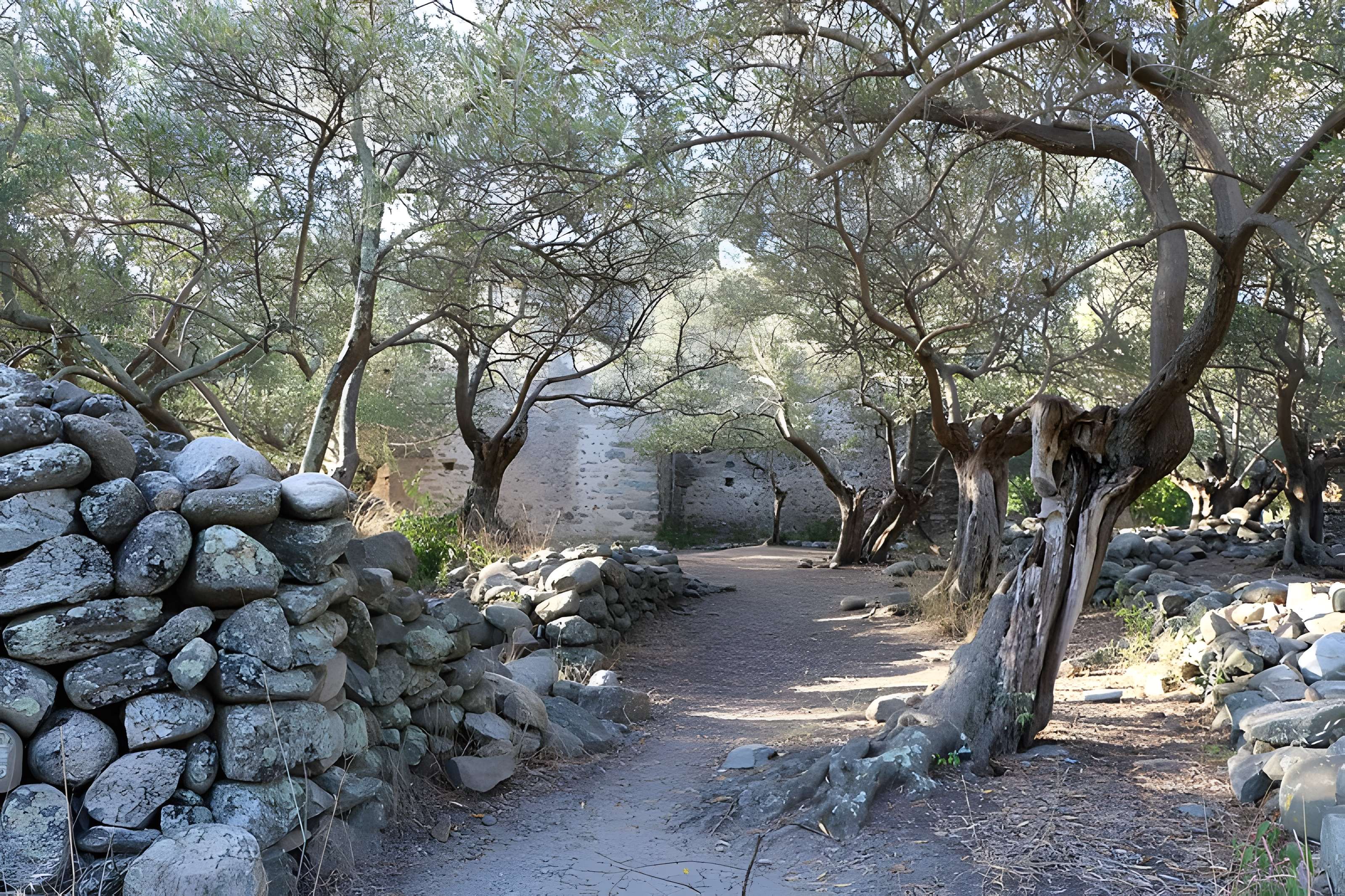 Ancienne chapelle Saint-Sauveur de Casenoves