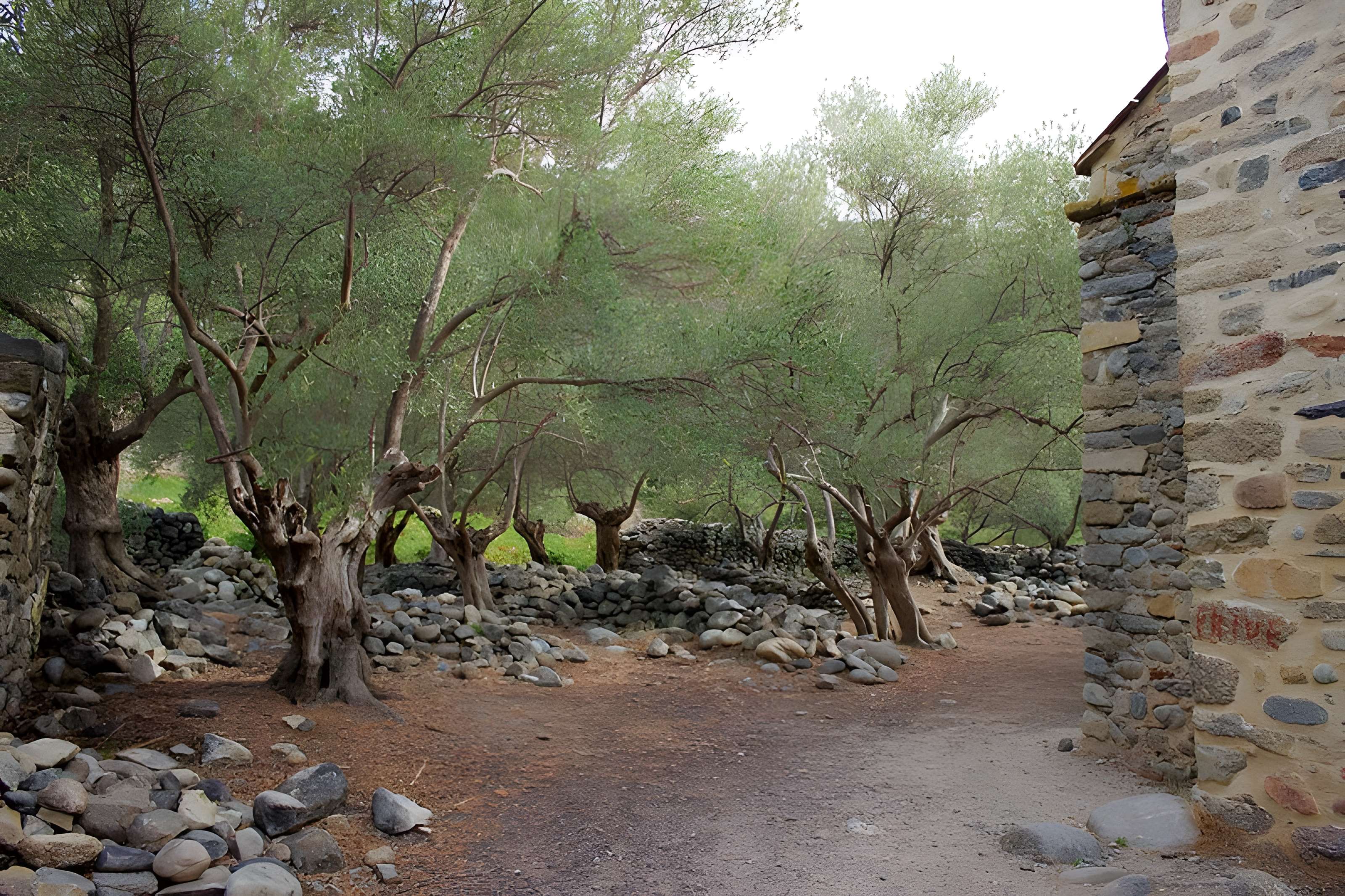 Ancienne chapelle Saint-Sauveur de Casenoves