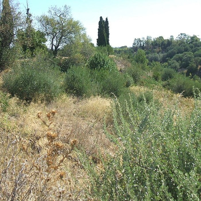Photo de Oppidum gallo-romain de Ruscino